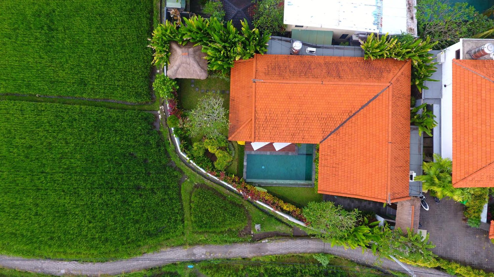 Villa Maya Ubud, Peaceful Rice Field View Buitenkant foto