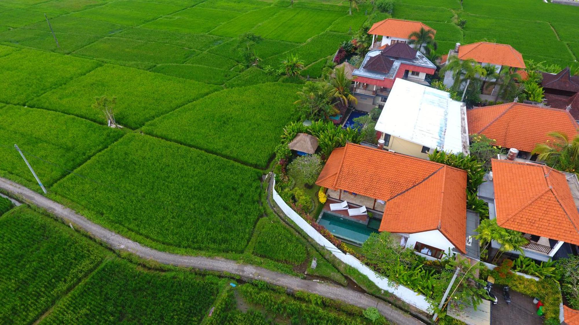 Villa Maya Ubud, Peaceful Rice Field View Buitenkant foto