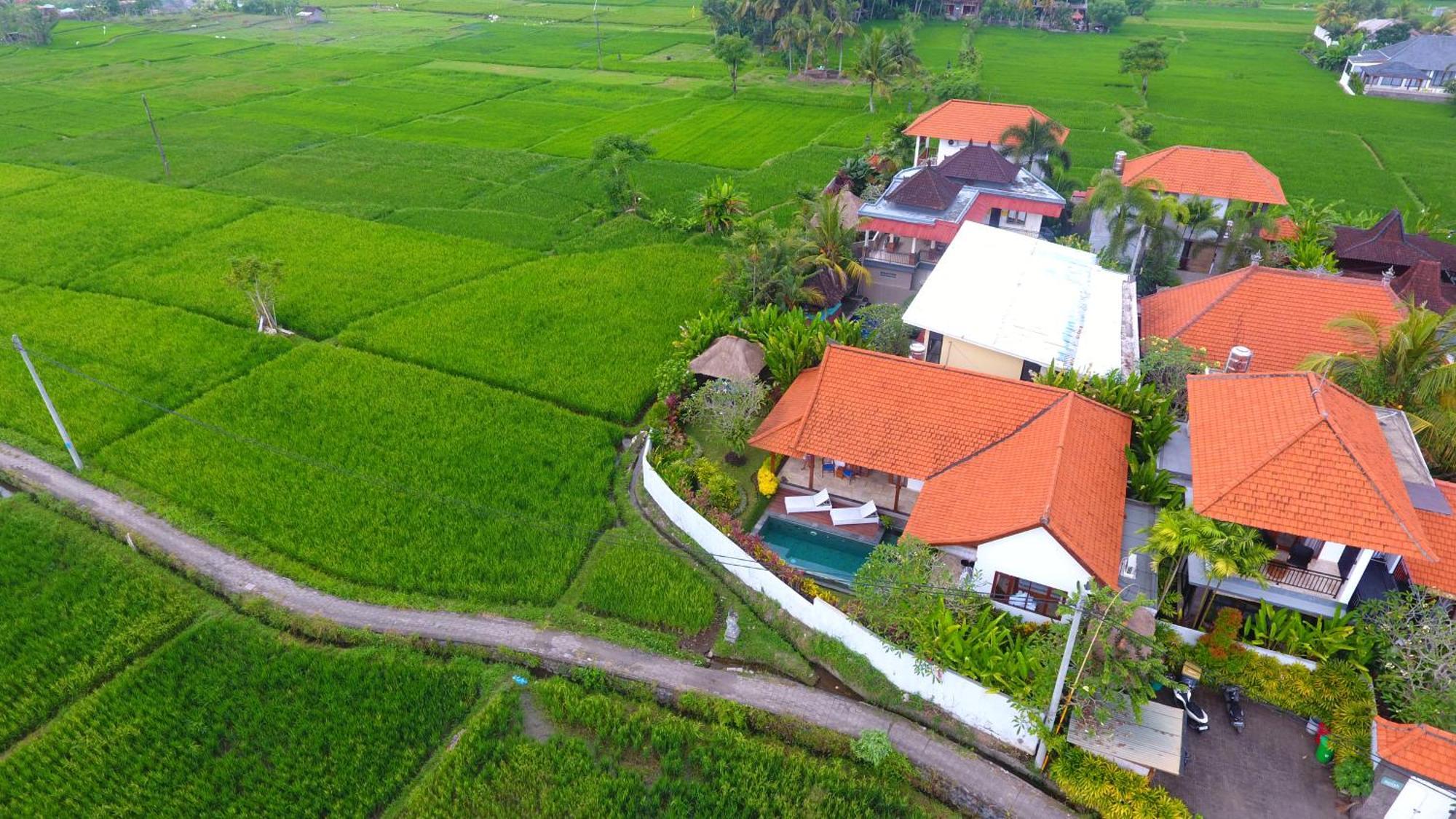 Villa Maya Ubud, Peaceful Rice Field View Buitenkant foto
